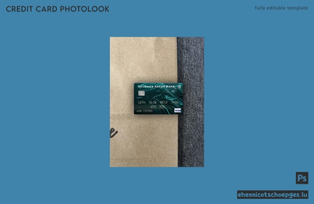 USA Goldman Sachs Bank Visa-Karte Fotobeispiel-Vorschau
